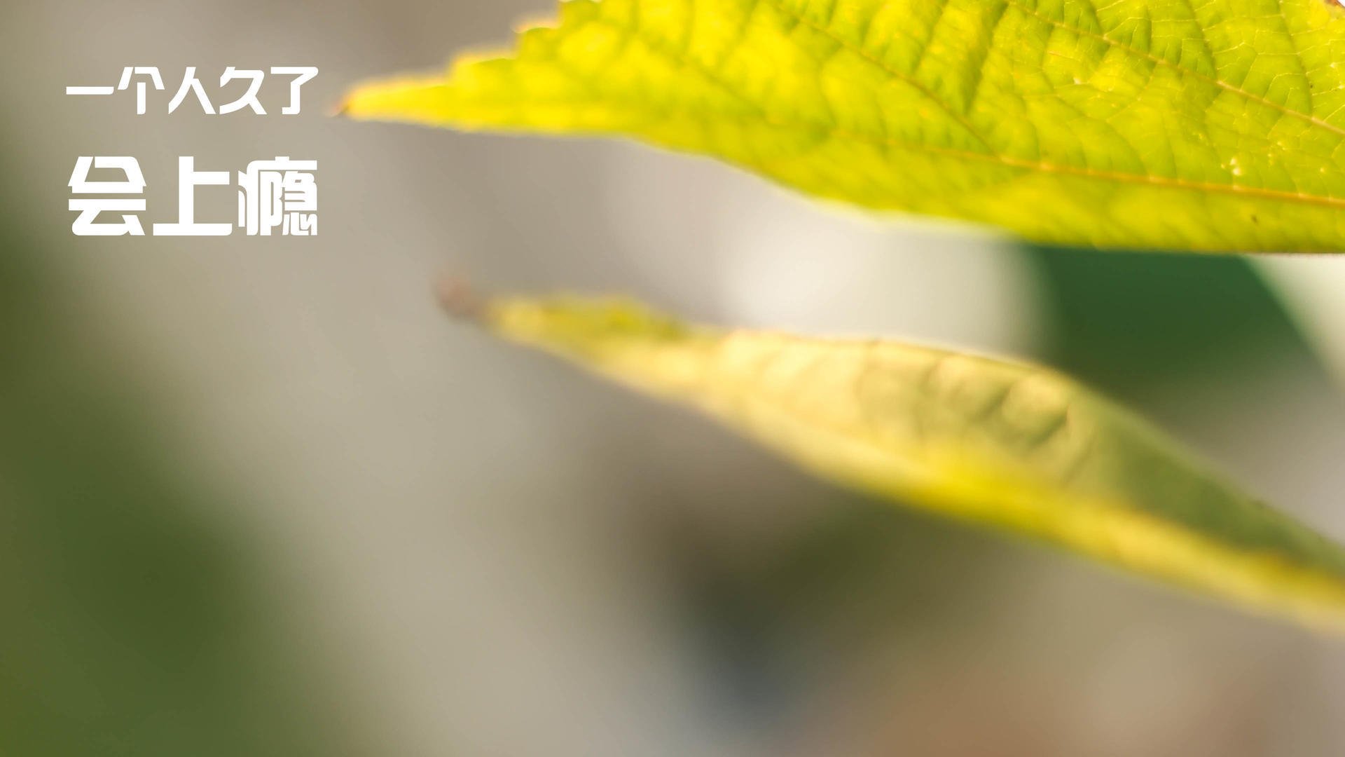 Kering-“青少年足球训练营吸引大批青少年，踢出梦想”，青少年足球训练营文化节手抄报